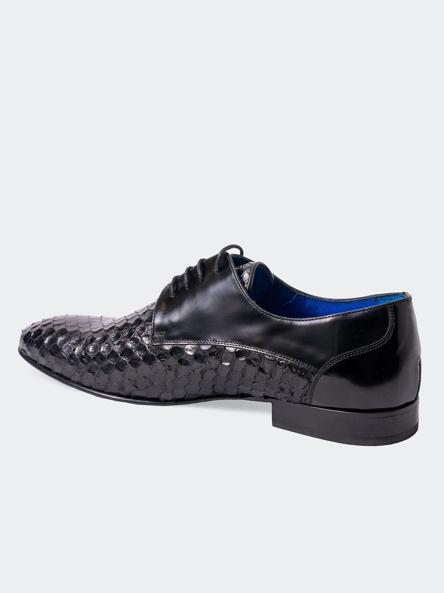 Shoe Class Snake Black